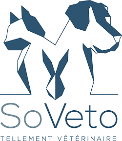 Soveto