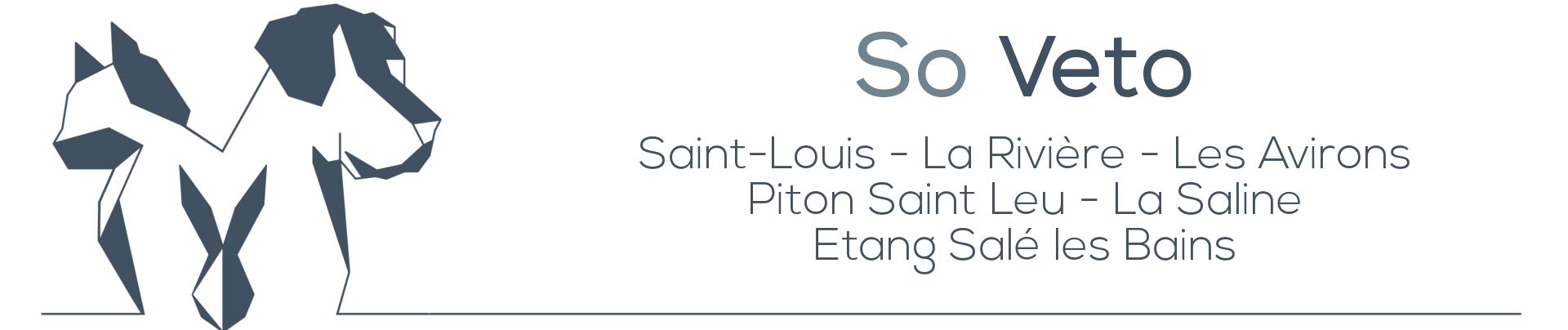 Clinique vétérinaire Saint-Louis